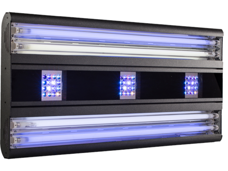 schwarze LED Growlampe mit violettem Licht